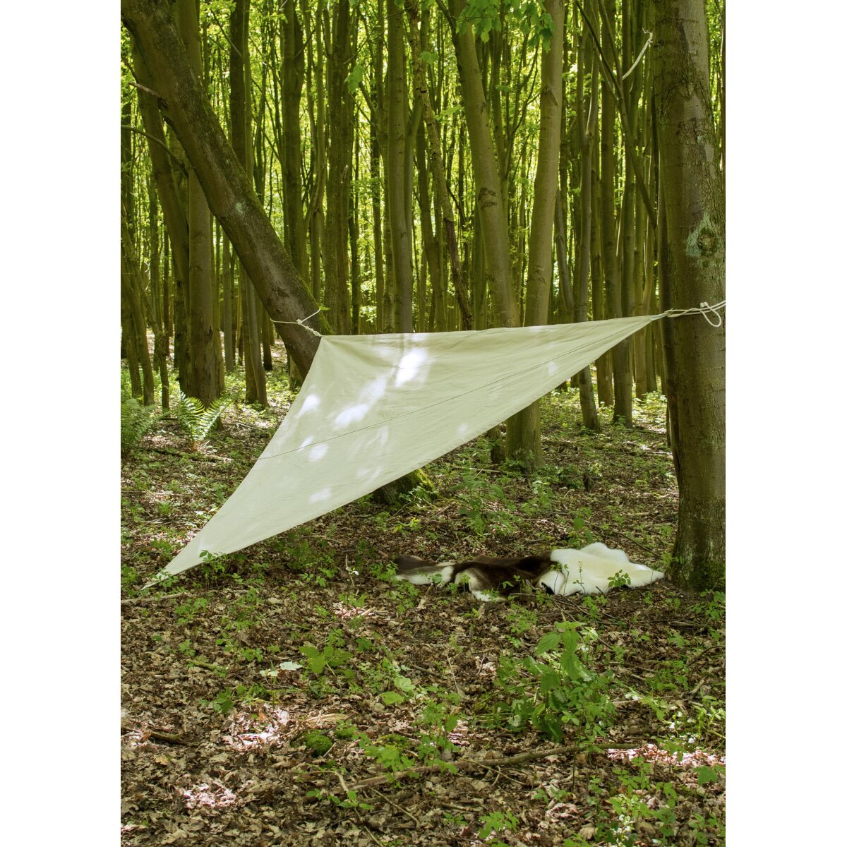 Lona / toldo de almacenamiento triangular con lazos, 250 g/m², color natural, 4 metros